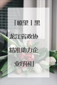 瞭望丨黑龙江省政协精准助力企业纾困
