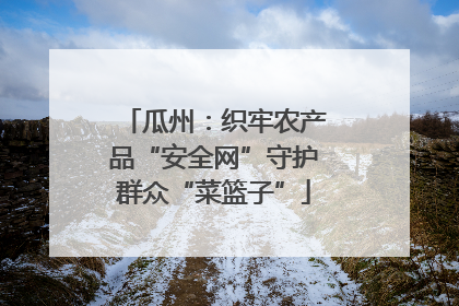 瓜州：织牢农产品“安全网”守护群众“菜篮子”