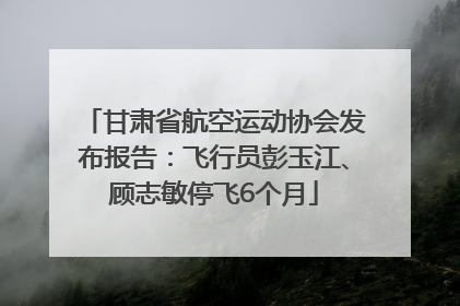 甘肃省航空运动协会发布报告：飞行员彭玉江、顾志敏停飞6个月