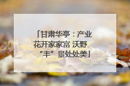 甘肃华亭：产业花开家家富 沃野“丰”景处处美