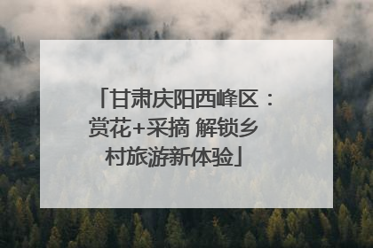 甘肃庆阳西峰区：赏花+采摘 解锁乡村旅游新体验