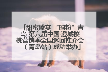 甜蜜盛宴 “圈粉”青岛 第六届中国·澄城樱桃营销季全国巡回推介会（青岛站）成功举办