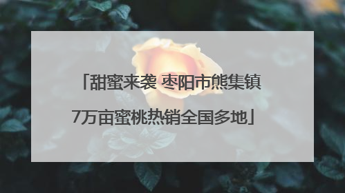 甜蜜来袭 枣阳市熊集镇7万亩蜜桃热销全国多地