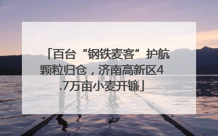 百台“钢铁麦客”护航颗粒归仓，济南高新区4.7万亩小麦开镰