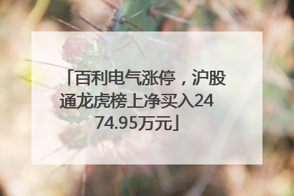 百利电气涨停，沪股通龙虎榜上净买入2474.95万元