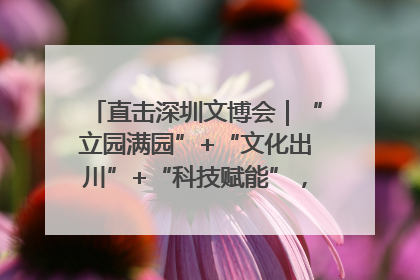 直击深圳文博会｜“立园满园”+“文化出川”+“科技赋能”，成都传媒发布三大文创领域合作清单