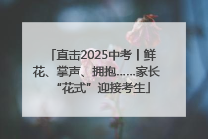 直击2025中考丨鲜花、掌声、拥抱……家长“花式”迎接考生