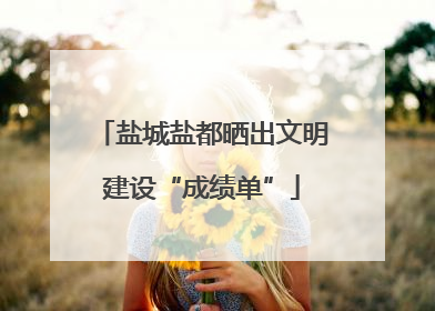 盐城盐都晒出文明建设“成绩单”