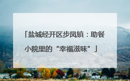 盐城经开区步凤镇：助餐小院里的“幸福滋味”