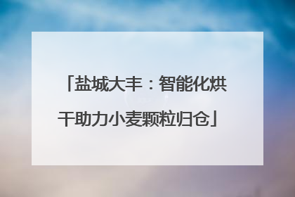 盐城大丰：智能化烘干助力小麦颗粒归仓