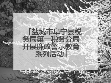 盐城市阜宁县税务局第一税务分局开展廉政警示教育系列活动
