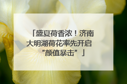 盛夏荷香浓！济南大明湖荷花率先开启“颜值暴击”