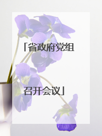 省政府党组召开会议