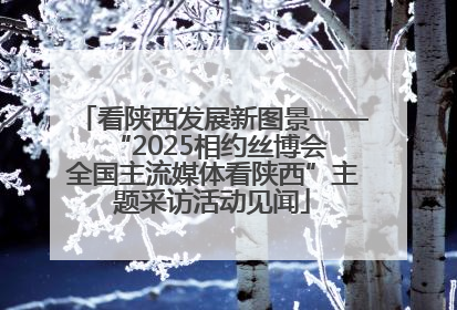 看陕西发展新图景——“2025相约丝博会 全国主流媒体看陕西”主题采访活动见闻