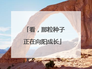 看，那粒种子正在向阳成长