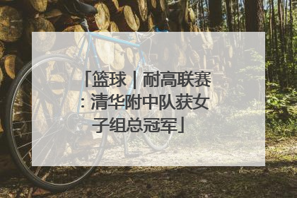 篮球｜耐高联赛：清华附中队获女子组总冠军