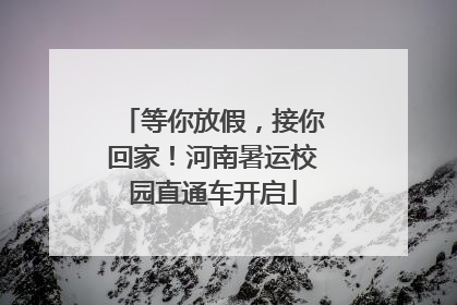 等你放假，接你回家！河南暑运校园直通车开启