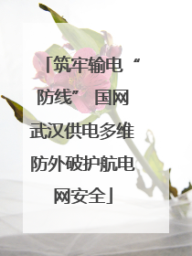 筑牢输电“防线” 国网武汉供电多维防外破护航电网安全