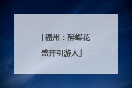 福州：醉蝶花盛开引游人