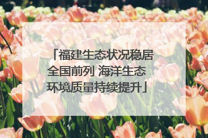 福建生态状况稳居全国前列 海洋生态环境质量持续提升