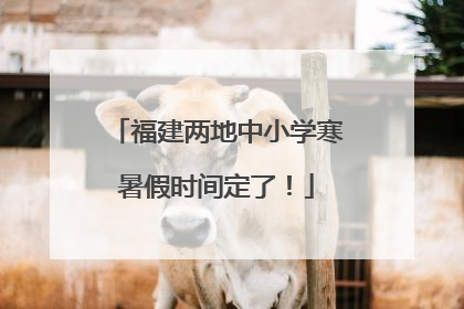 福建两地中小学寒暑假时间定了！