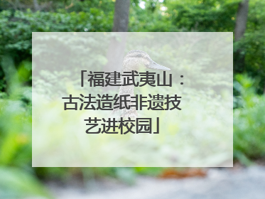 福建武夷山：古法造纸非遗技艺进校园