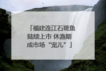 福建连江石斑鱼陆续上市 休渔期成市场“宠儿”