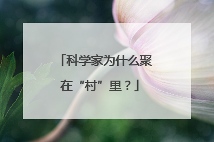 科学家为什么聚在“村”里？