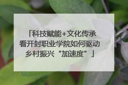 科技赋能+文化传承 看开封职业学院如何驱动乡村振兴“加速度”