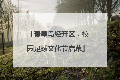 秦皇岛经开区：校园足球文化节启幕