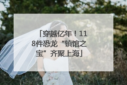 穿越亿年！118件恐龙“镇馆之宝”齐聚上海