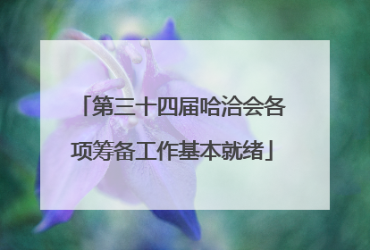 第三十四届哈洽会各项筹备工作基本就绪