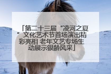 第二十三届“凌河之夏”文化艺术节首场演出精彩亮相 老年文艺专场生动展示银龄风采