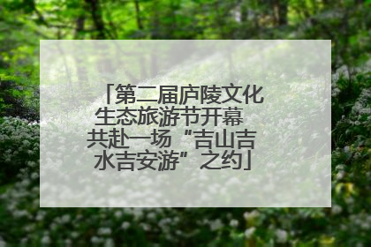 第二届庐陵文化生态旅游节开幕 共赴一场“吉山吉水吉安游”之约