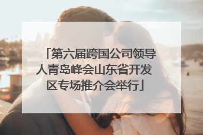 第六届跨国公司领导人青岛峰会山东省开发区专场推介会举行