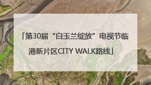 第30届“白玉兰绽放”电视节临港新片区CITY WALK路线