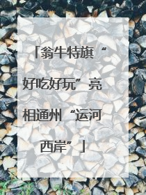 翁牛特旗“好吃好玩”亮相通州“运河西岸”