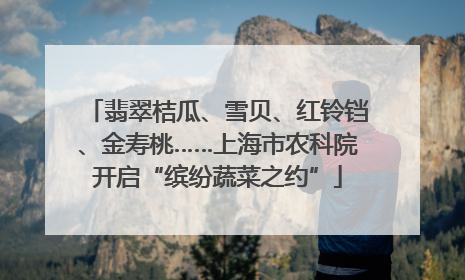 翡翠桔瓜、雪贝、红铃铛、金寿桃……上海市农科院开启“缤纷蔬菜之约”