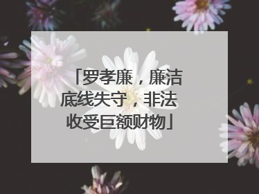 罗孝廉，廉洁底线失守，非法收受巨额财物