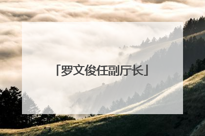 罗文俊任副厅长