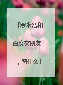 罗永浩和百度交朋友，图什么