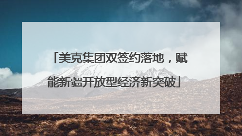 美克集团双签约落地，赋能新疆开放型经济新突破