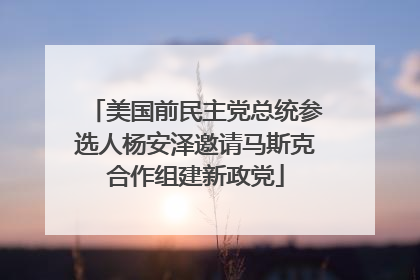 美国前民主党总统参选人杨安泽邀请马斯克合作组建新政党