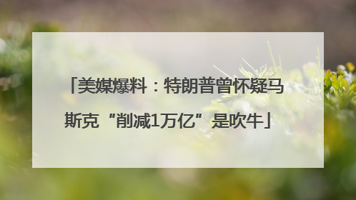 美媒爆料：特朗普曾怀疑马斯克“削减1万亿”是吹牛