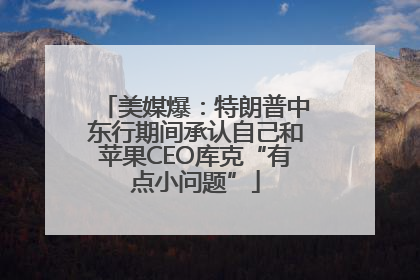 美媒爆：特朗普中东行期间承认自己和苹果CEO库克“有点小问题”