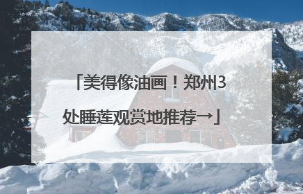 美得像油画！郑州3处睡莲观赏地推荐→