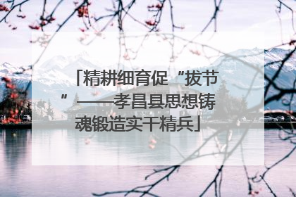 精耕细育促“拔节”——孝昌县思想铸魂锻造实干精兵