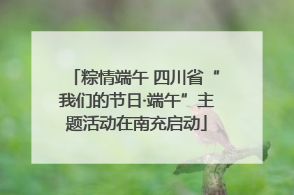 粽情端午 四川省“我们的节日·端午”主题活动在南充启动