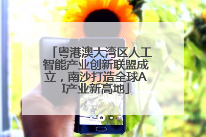粤港澳大湾区人工智能产业创新联盟成立，南沙打造全球AI产业新高地
