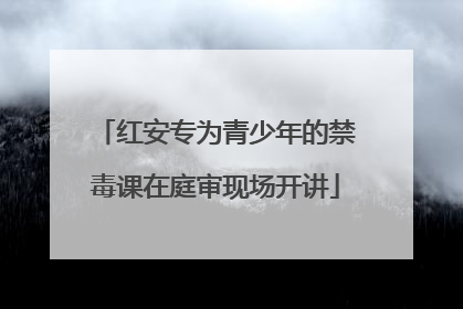 红安专为青少年的禁毒课在庭审现场开讲